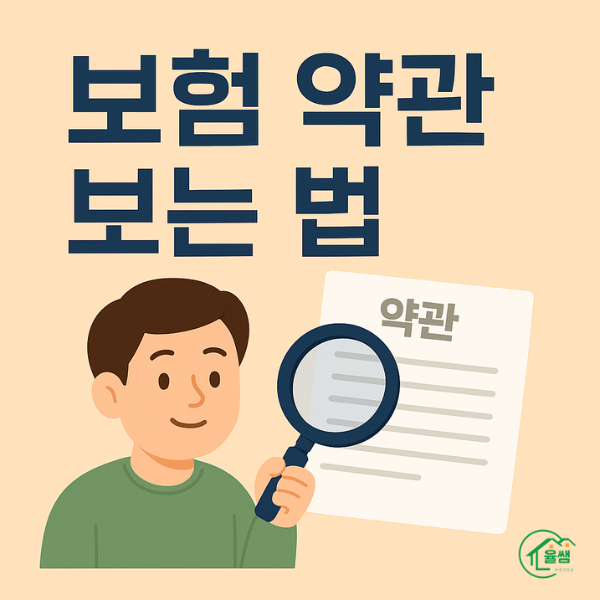 보험 약관 보는 법 이미지