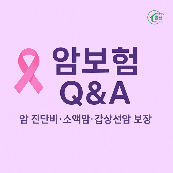 암보험 Q&A